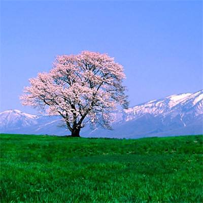 fb体育官方网站入口截图