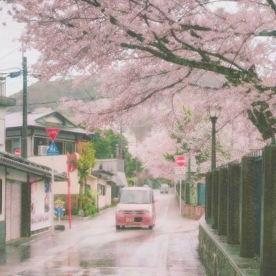 b体育手机在线登录