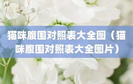 猫咪腹围对照表大全图（猫咪腹围对照表大全图片）