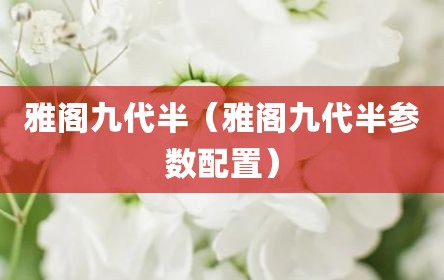 雅阁九代半（雅阁九代半参数配置）
