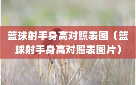 篮球射手身高对照表图（篮球射手身高对照表图片）