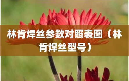 林肯焊丝参数对照表图（林肯焊丝型号）
