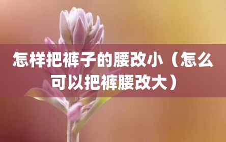 怎样把裤子的腰改小（怎么可以把裤腰改大）