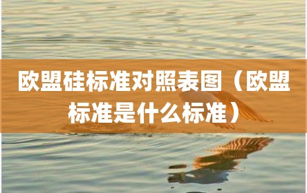 欧盟硅标准对照表图（欧盟标准是什么标准）