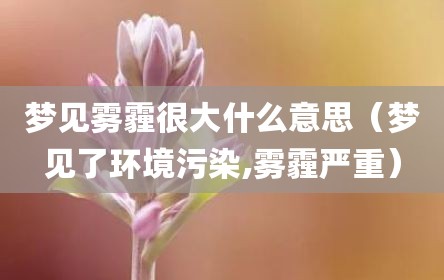 梦见雾霾很大什么意思（梦见了环境污染,雾霾严重）