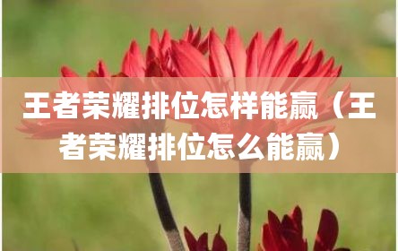 王者荣耀排位怎样能赢（王者荣耀排位怎么能赢）