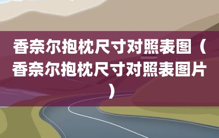 香奈尔抱枕尺寸对照表图（香奈尔抱枕尺寸对照表图片）