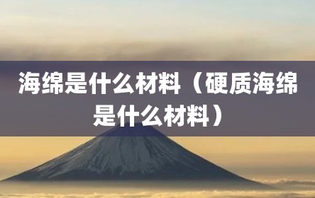 海绵是什么材料（硬质海绵是什么材料）
