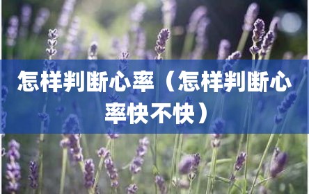 怎样判断心率（怎样判断心率快不快）