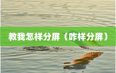 教我怎样分屏（咋样分屏）