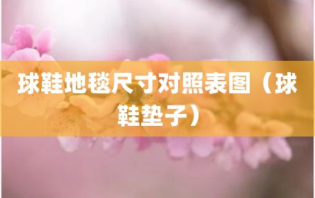球鞋地毯尺寸对照表图（球鞋垫子）