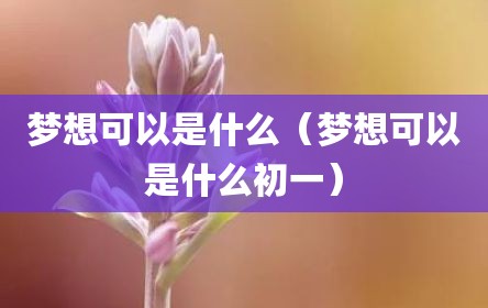 梦想可以是什么（梦想可以是什么初一）