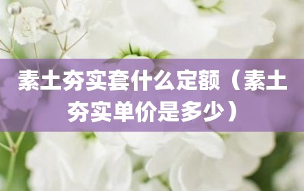 素土夯实套什么定额（素土夯实单价是多少）