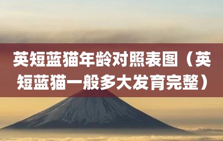 英短蓝猫年龄对照表图（英短蓝猫一般多大发育完整）