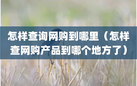 怎样查询网购到哪里（怎样查网购产品到哪个地方了）