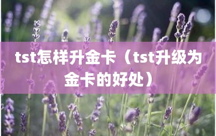 tst怎样升金卡（tst升级为金卡的好处）