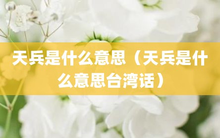 天兵是什么意思（天兵是什么意思台湾话）