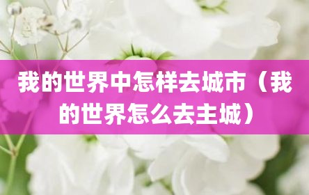 我的世界中怎样去城市（我的世界怎么去主城）
