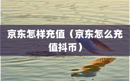 京东怎样充值（京东怎么充值抖币）