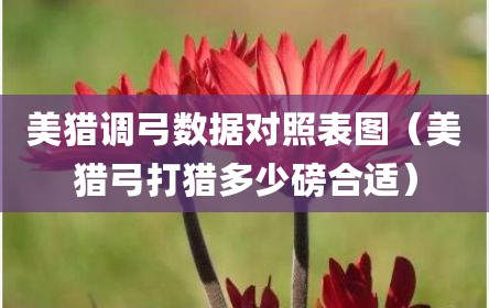 美猎调弓数据对照表图（美猎弓打猎多少磅合适）