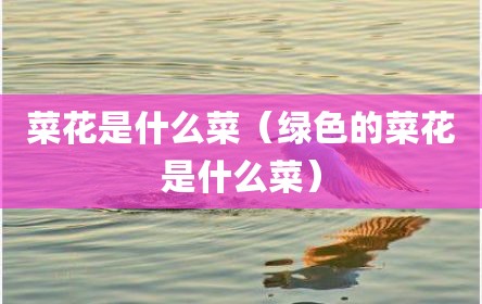 菜花是什么菜（绿色的菜花是什么菜）