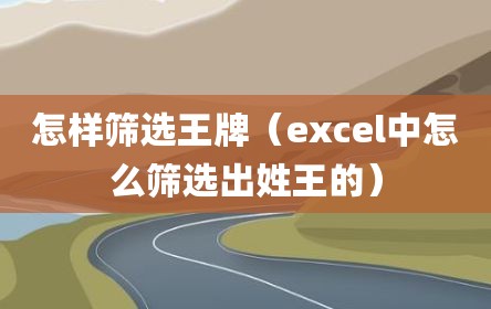 怎样筛选王牌（excel中怎么筛选出姓王的）