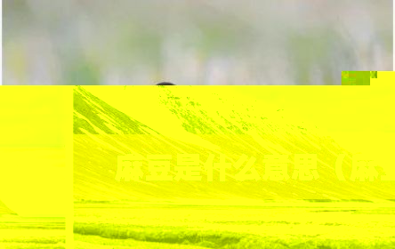 麻豆是什么意思（麻豆）