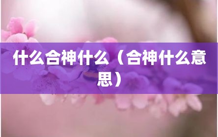什么合神什么（合神什么意思）