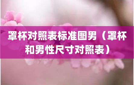 罩杯对照表标准图男（罩杯和男性尺寸对照表）
