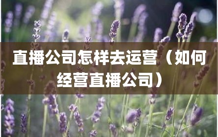 直播公司怎样去运营（如何经营直播公司）