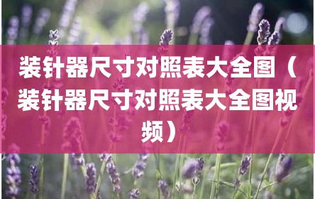 装针器尺寸对照表大全图（装针器尺寸对照表大全图视频）