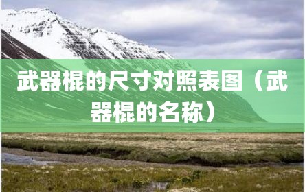 武器棍的尺寸对照表图（武器棍的名称）