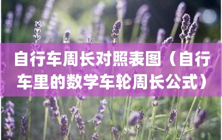 自行车周长对照表图（自行车里的数学车轮周长公式）