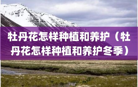牡丹花怎样种植和养护（牡丹花怎样种植和养护冬季）