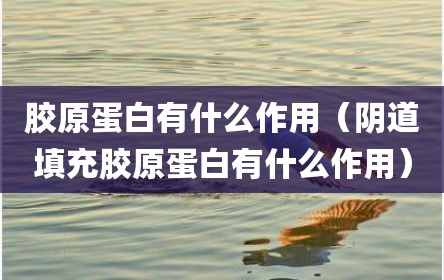 胶原蛋白有什么作用（阴道填充胶原蛋白有什么作用）