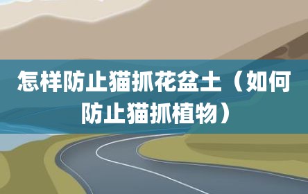 怎样防止猫抓花盆土（如何防止猫抓植物）