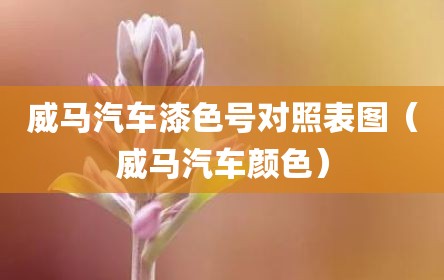 威马汽车漆色号对照表图（威马汽车颜色）