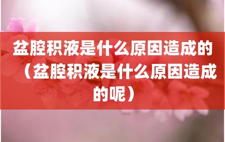 盆腔积液是什么原因造成的（盆腔积液是什么原因造成的呢）