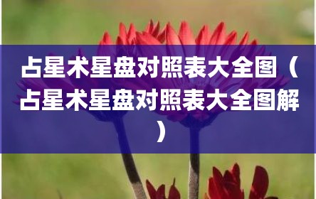 占星术星盘对照表大全图（占星术星盘对照表大全图解）