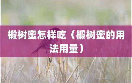 椴树蜜怎样吃（椴树蜜的用法用量）