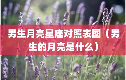 男生月亮星座对照表图（男生的月亮是什么）