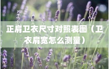 正肩卫衣尺寸对照表图（卫衣肩宽怎么测量）