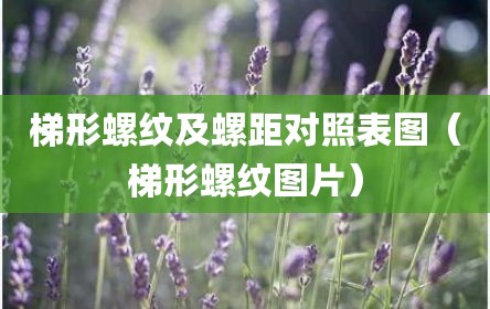 梯形螺纹及螺距对照表图（梯形螺纹图片）