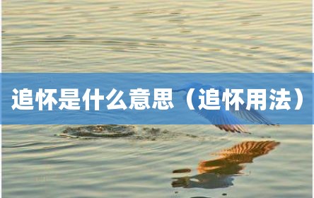 追怀是什么意思（追怀用法）