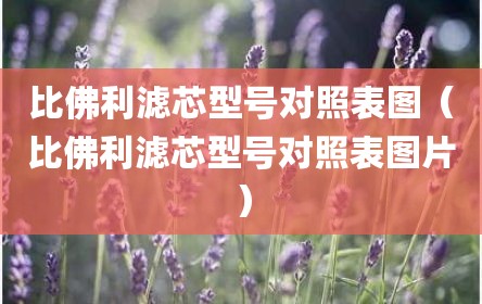比佛利滤芯型号对照表图（比佛利滤芯型号对照表图片）