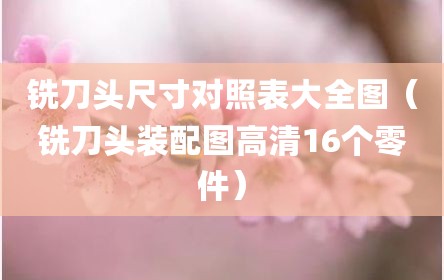铣刀头尺寸对照表大全图（铣刀头装配图高清16个零件）