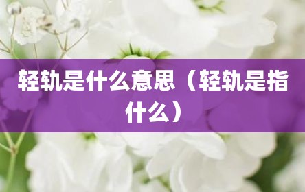 轻轨是什么意思（轻轨是指什么）