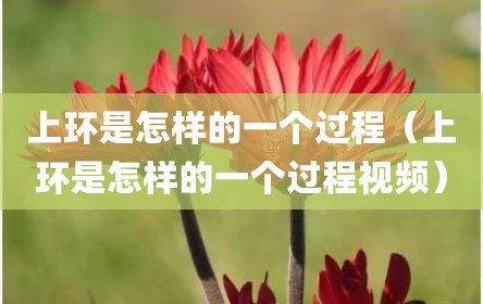 上环是怎样的一个过程（上环是怎样的一个过程视频）