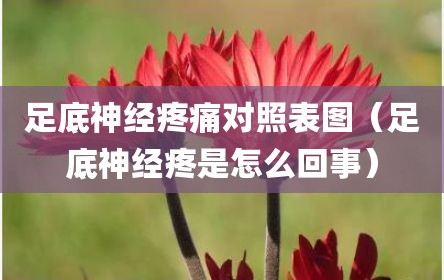 足底神经疼痛对照表图（足底神经疼是怎么回事）