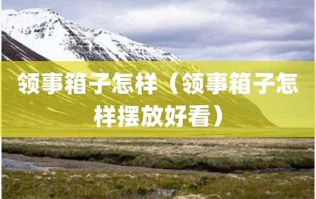 领事箱子怎样（领事箱子怎样摆放好看）